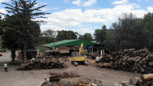 What Is a Woodyard? (And Why It Matters More Than You Think)