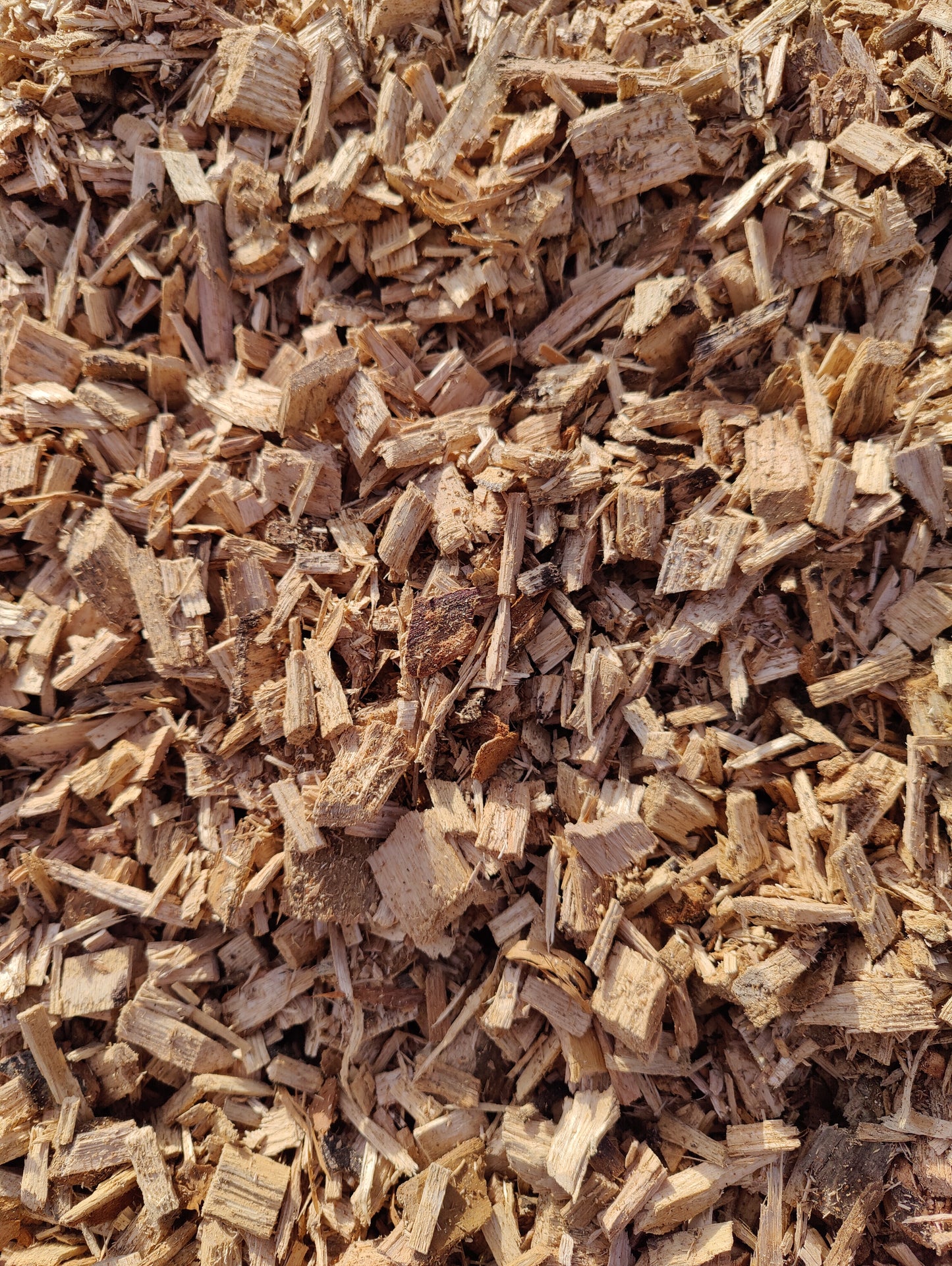 Golden Pure Chips - 2M3