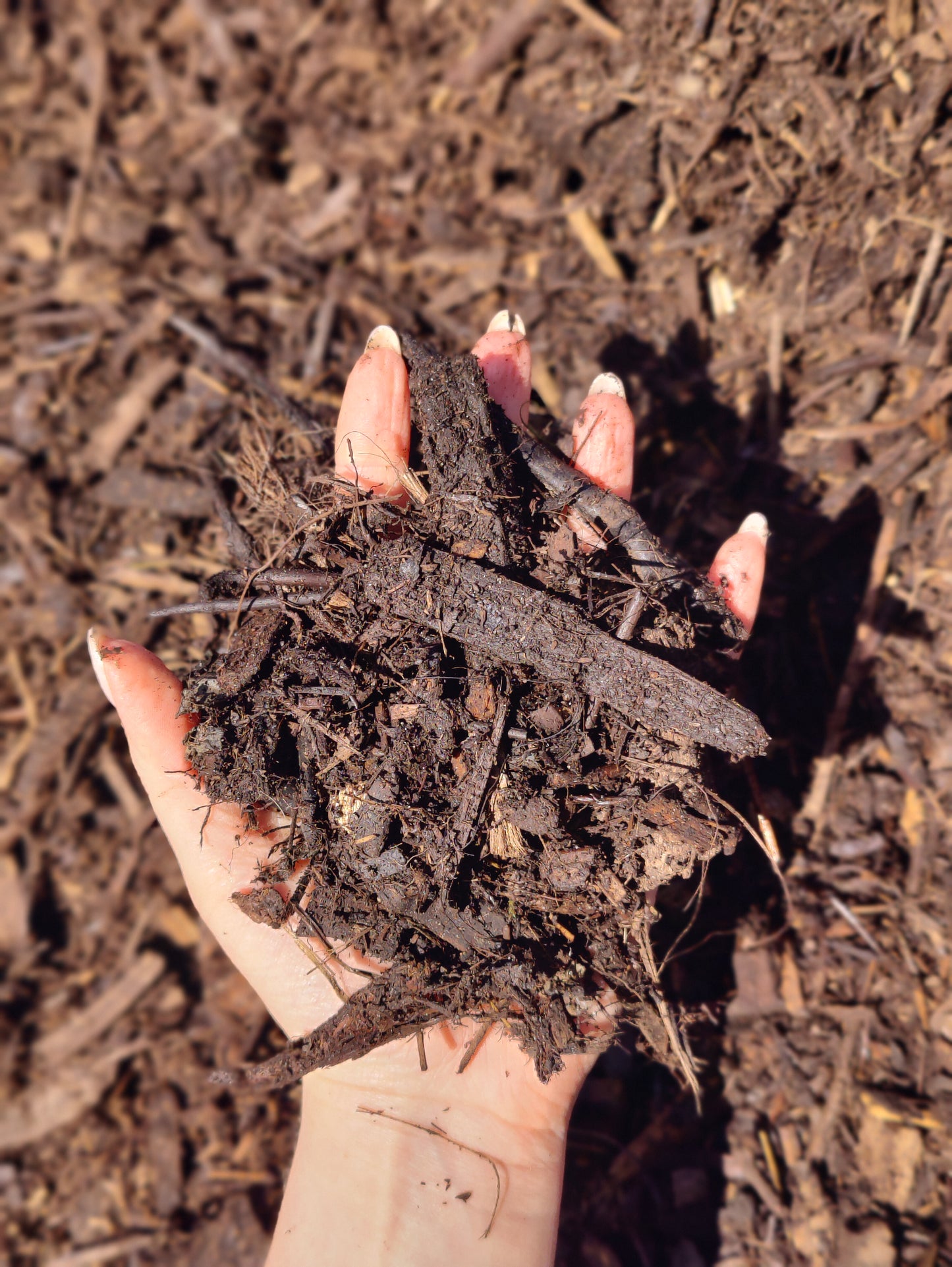 Woodchip Mulch - 2.5M3