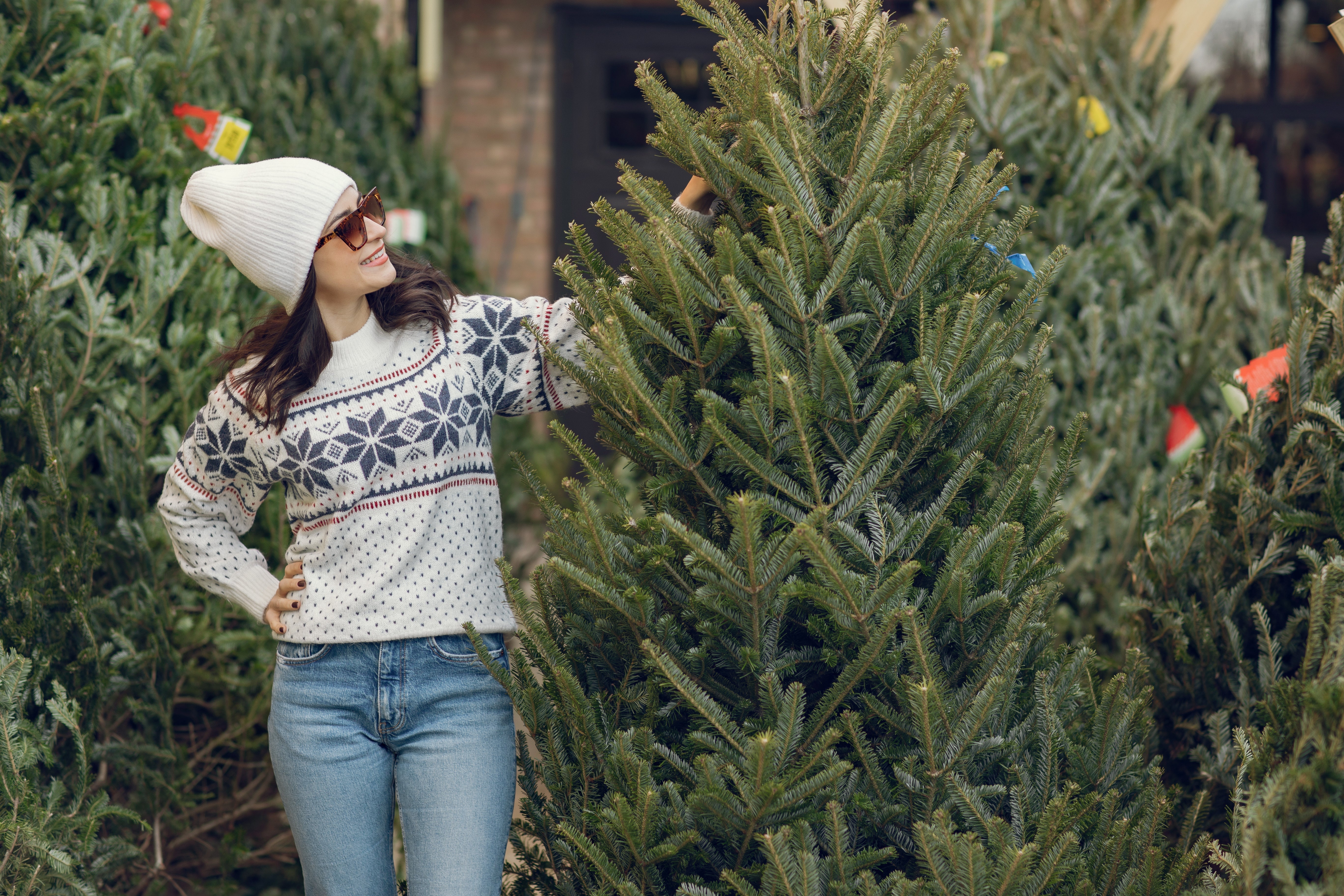 How to Choose and Care for a Real Christmas Tree (Complete Guide ...