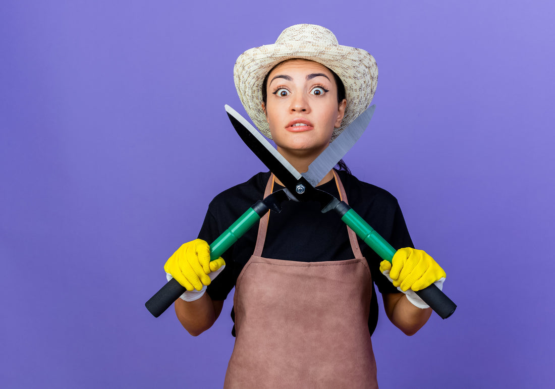 Hand Tools vs Power Tools: The Complete UK Gardening Tool Guide