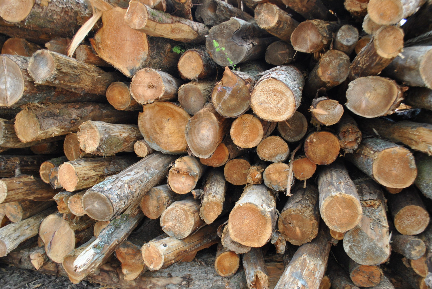 Firewood & Fuel