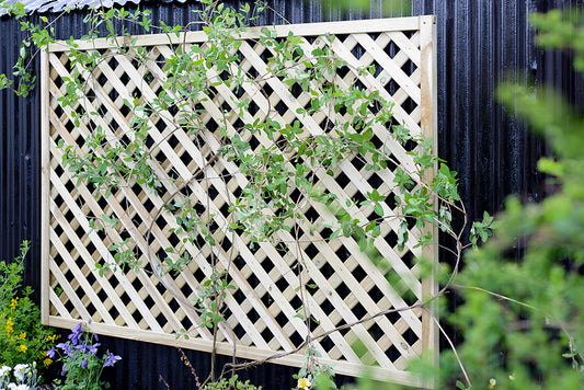 6FT Elite Lattice Trellis