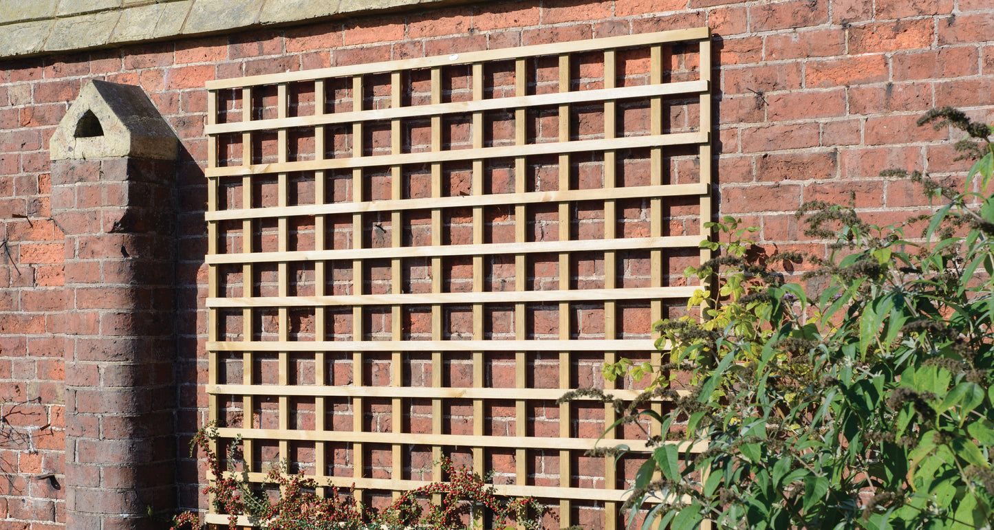6FT Square Trellis