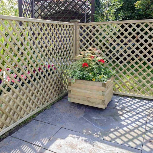 6FT Alderely Trellis